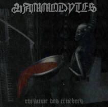 Royaume des Tenebres